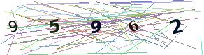 Accesskod (numerisk)